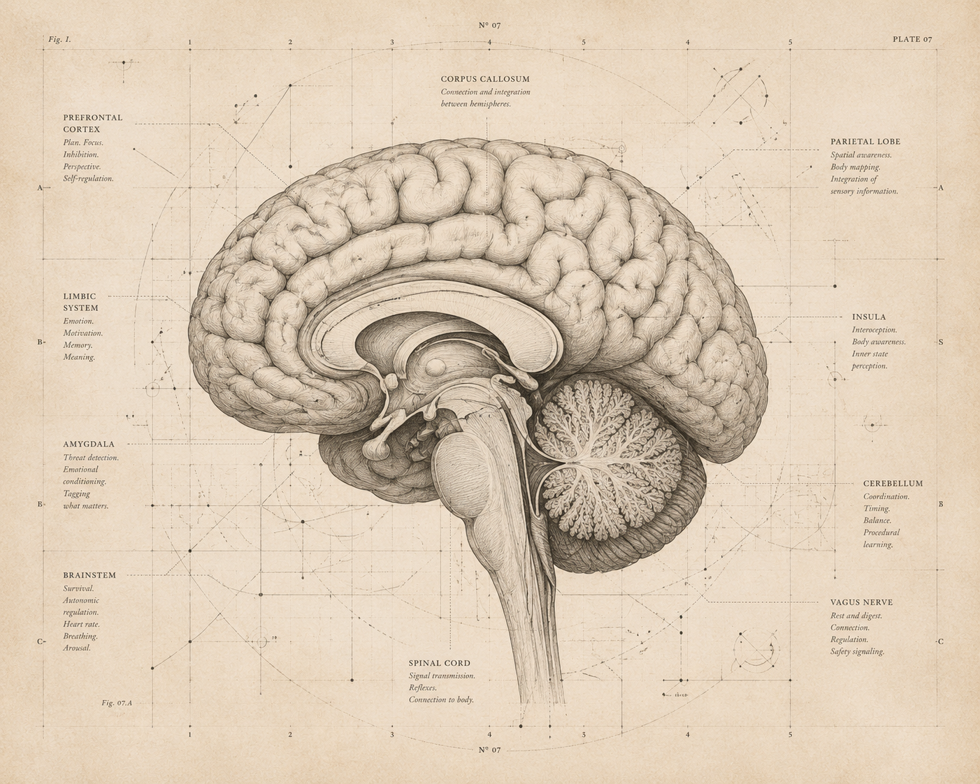 ADHD & Neurodiverse